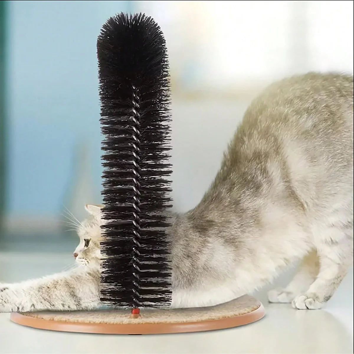 Cat Toy Arch Self Groome Pamper Feline with a Massage Grooming Rubbing Brush with Scratching Pad Toy for Cats Interactive Toys